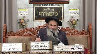 הרב אבנר אליסון | הלכות שבת | בית הכנסת מוסאיוף (בית הכנסת מוסאיוף) - התמונה מוצגת ישירות מתוך אתר האינטרנט יוטיוב. זכויות היוצרים בתמונה שייכות ליוצרה. קישור קרדיט למקור התוכן נמצא בתוך דף הסרטון