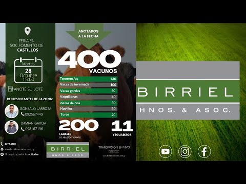 Birriel Hermanos y asociados _Feria Sociedad Fomento Castillos 27 OCTUBRE