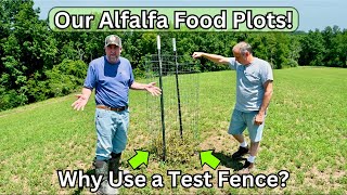 Our Alfalfa Food Plots & Why We Use A Test Fence!