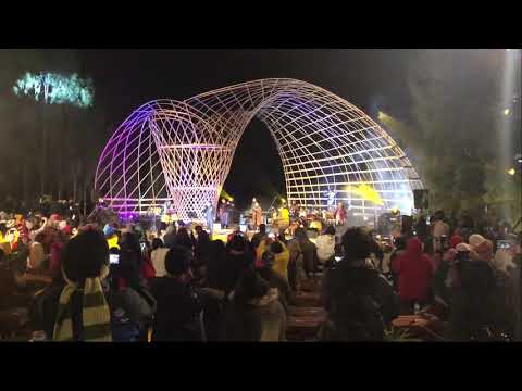 Ring of fire feat Didi kempot - jazz gunung bromo 2019