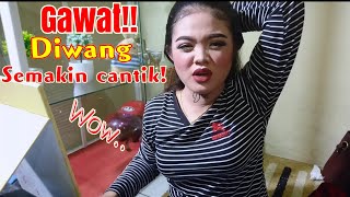 Download lagu Ardia diwang probiwati semakin lama semakin bohay... mp3