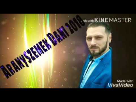 Aranyszemek Dani 2018 Nem bírok nélküled