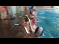 IMG 3979