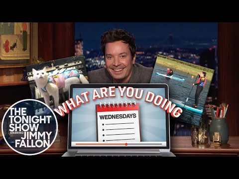 水曜日は何をしているの？ピアノを弾く猫、パドルボードの災難 (What Are You Doing Wednesdays: Piano-Playing Cat, Paddle Boarding Mishaps)