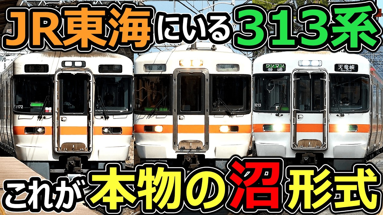 【狂ってる】JRトップクラスの沼形式がこちらです【JR東海313系 前編】