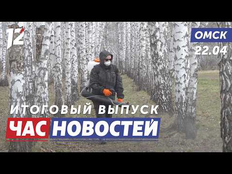 Обработка от клещей / Массовая драка / Московский Пасхальный фестиваль. Новости Омска
