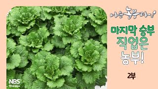 [나는농부다 310회 2부] 마지막 승부, 직업은 농부!