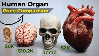 Human organs Price Comparison