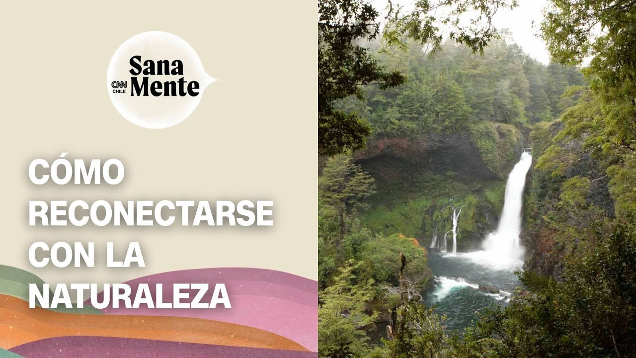 Cómo mejorar nuestra relación con la naturaleza | Sana Mente