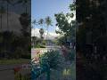 Tuesday In Oahu Hawaii Manoa Zippy S Leonard S Bakery Vlog Oahu Zippys Leonardsbakery