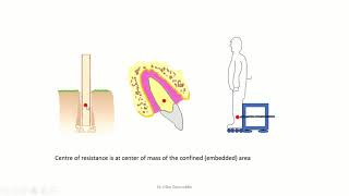 Basics of Biomechanics 1 (center of mass and center of resistance