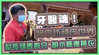 「很期待想去看看」 陳時中走訪頑皮世界超萌互動