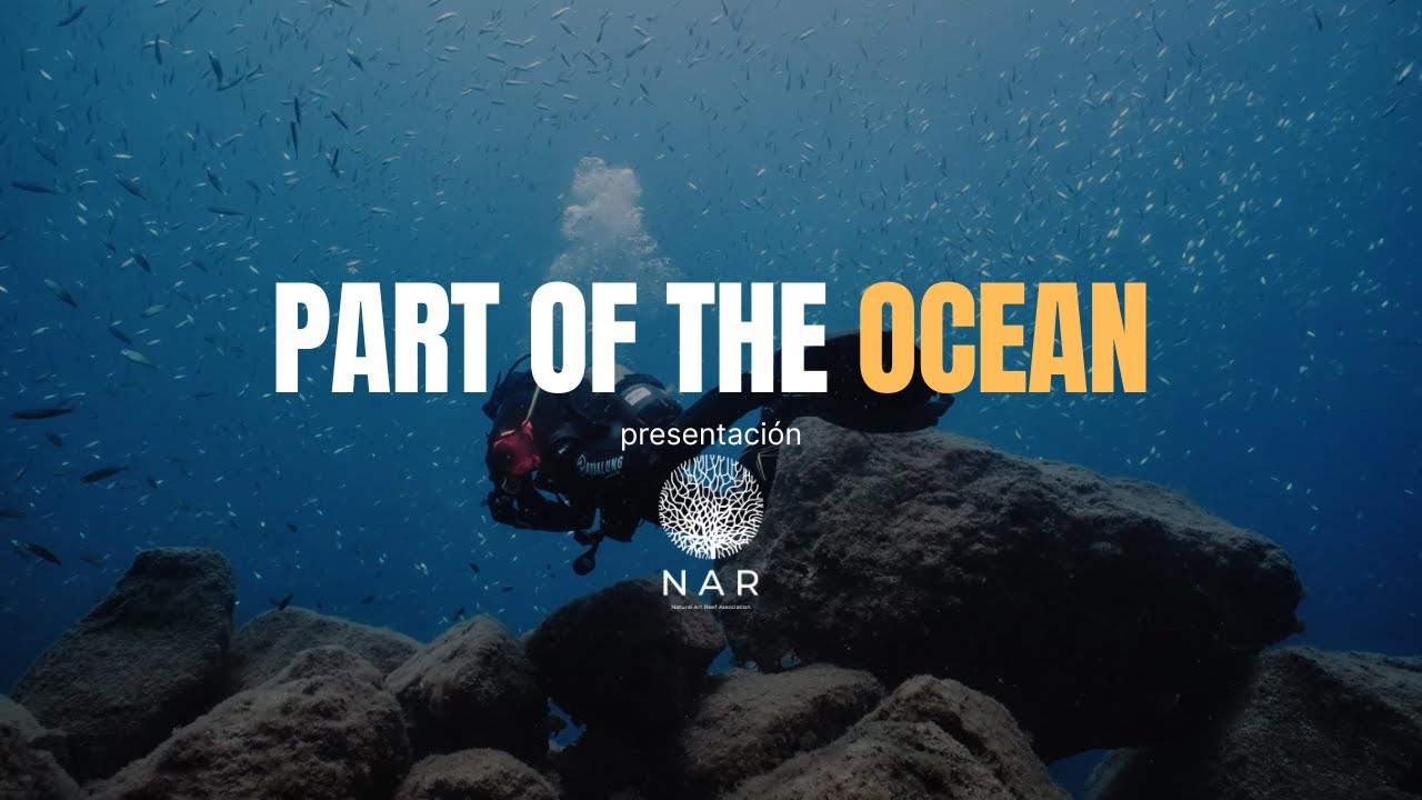 PART OF THE OCEAN Video facade placeholder