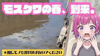春のモスクワを爆走する「修羅の国」の乗り物。微罪を舐めると警察連行の罠【ロシアの現状】