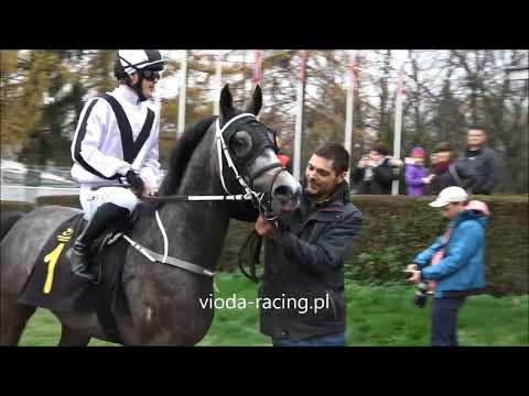 Gon. I - 13.11.2022 - A'Asam Al Khalediah (Nashwan Al Khalidiah - Assma Al Khalediah)