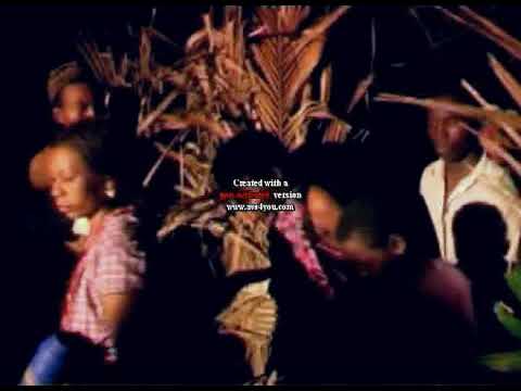 solid ground family bush party