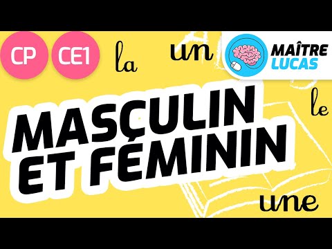 Masculin et féminin CP - CE1 - Cycle 2 - Français : étude de la langue - FLE
