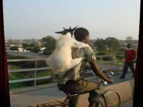 Nanny Goat (1968)~Freddie McGregor