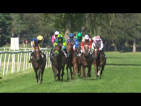 5. dostih - 3. Cena společnosti Lokotrans - dostihy Karlovy Vary 23. 8. 2020