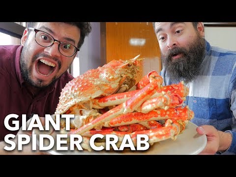 download lagu mp3 mp4 Japanese Spider Crab Edible, download lagu Japanese Spider Crab Edible gratis, unduh video klip Japanese Spider Crab Edible