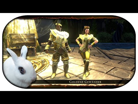 Neverwinter Special 🐇 41 - Event: Waukeen-Münzen - Was mache ich mit Geldbeutel Waukeens?