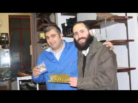 Bet Halevi Vienna - Clip