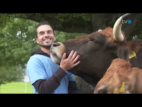TVO Bericht über den Känguruhof Lebenshof vom 10.09.2022