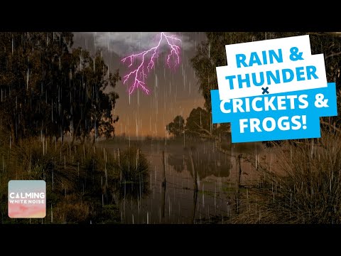 [DEEP SLEEP] Rain and Thunder + Frogs Crickets and Owls Sounds (Black Screen - 8 Hrs) Swamp Ambience