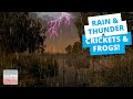 DEEP SLEEP Rain And Thunder Frogs Crickets And Owls Sounds Black Screen 8 Hrs Swamp Ambience