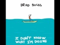 Brad Sucks - Bad Attraction (I Don't Know What I'm Doing) [Lyrics]