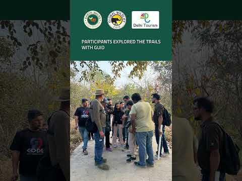 Into the Wild After Dark: Aravalli Evening Exploration