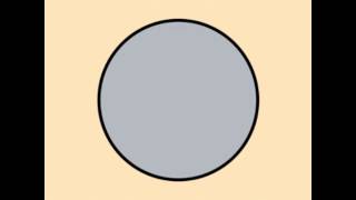 Swans - Red Velvet Wound