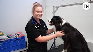 Behind the Scenes: TAFE NSW | Graduate Tour | Vet Nursing