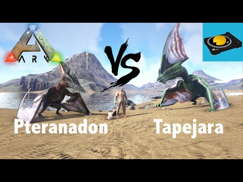 Ark Insight -- Pteranodon V.S Tapejara