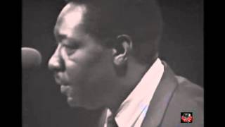 Otis Spann  - Nobody Knows My Trouble and Cold Cold Feeling Denmark (Live video - 1968)