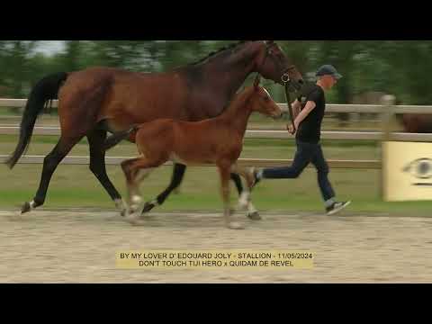 BE MY LOVER D' EDOUARD JOLY