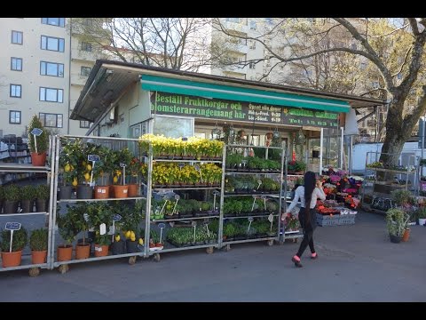 Blomsterhandeln Gröna Oasen - Gbg 2017