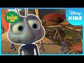 ‍ Fake Bird Plan Surprises The Grasshoppers A Bug S Life Disney Kids