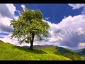 Čechomor - Hruška + text 