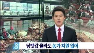 대경 시도민 축제 MBC뉴스 보도