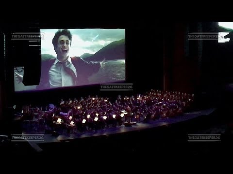 Harry Potter and the Prisoner of Azkaban in concert - Buckbeak's Flight