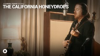 The California Honeydrops - Trying to Live My Life Without You | OurVinyl Sessions