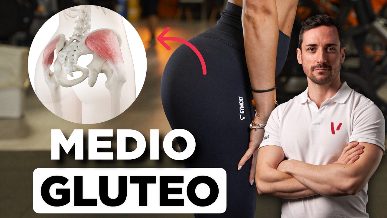 Watch Now Medio gluteo: anatomia ed esercizi Medio gluteo: anatomia ed esercizi