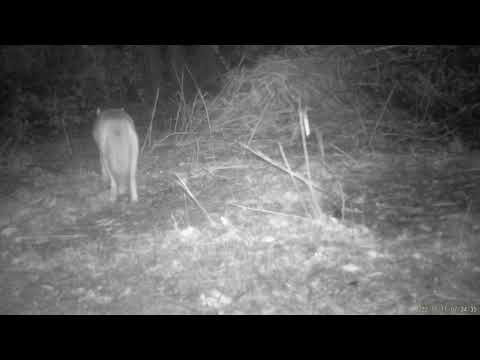 2022 1111 073435 000049