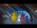 The Teletubbies Run To The Magic Windmill With T U F F Puppy Title Card Music Looking For Rabbits