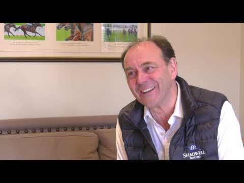 2021 Magic Millions GC National Broodmare Sale - Qafila