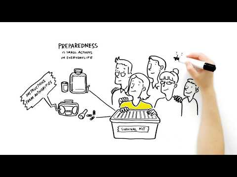 Security Strategy for Society 2017