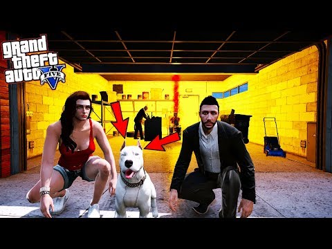 AZRA FARUK'A YAVRU PİTBULL HEDİYE EDİYOR! - GTA 5 FARUK'UN HAYATI