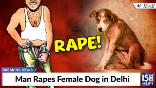 Man Rapes Female Dog in Delhi