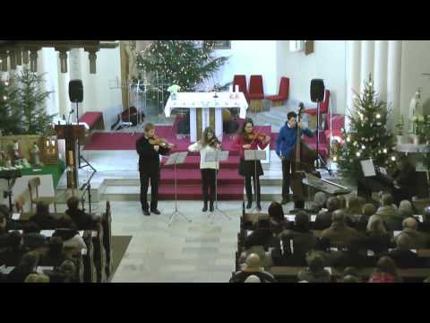 Novoroční koncert 11.1. 2015 - 5.  Komorní soubor